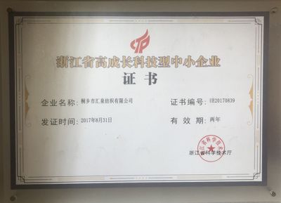 浙江省高成長(zhǎng)科技型中小企業(yè)證書(shū)