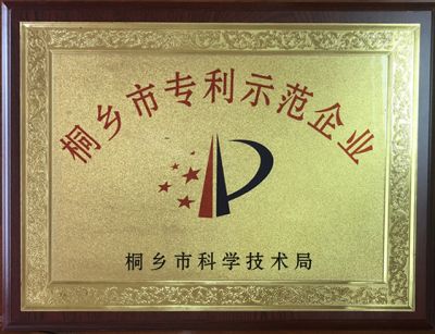 桐鄉(xiāng)市專(zhuān)利示范企業(yè)